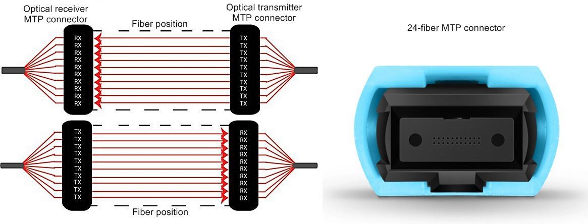 24 fiber MTP connector 24 fiber MTP connector