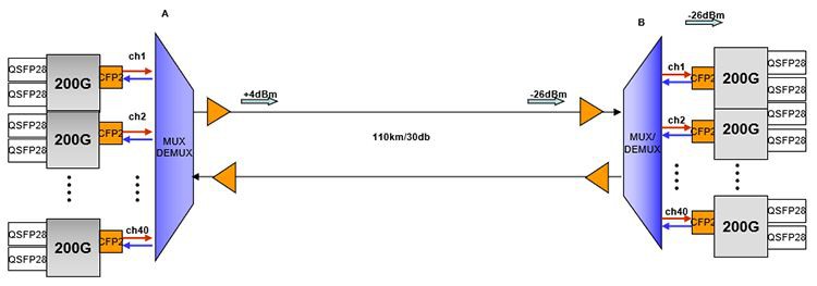200Gdwdmcard 200Gdwdmcard